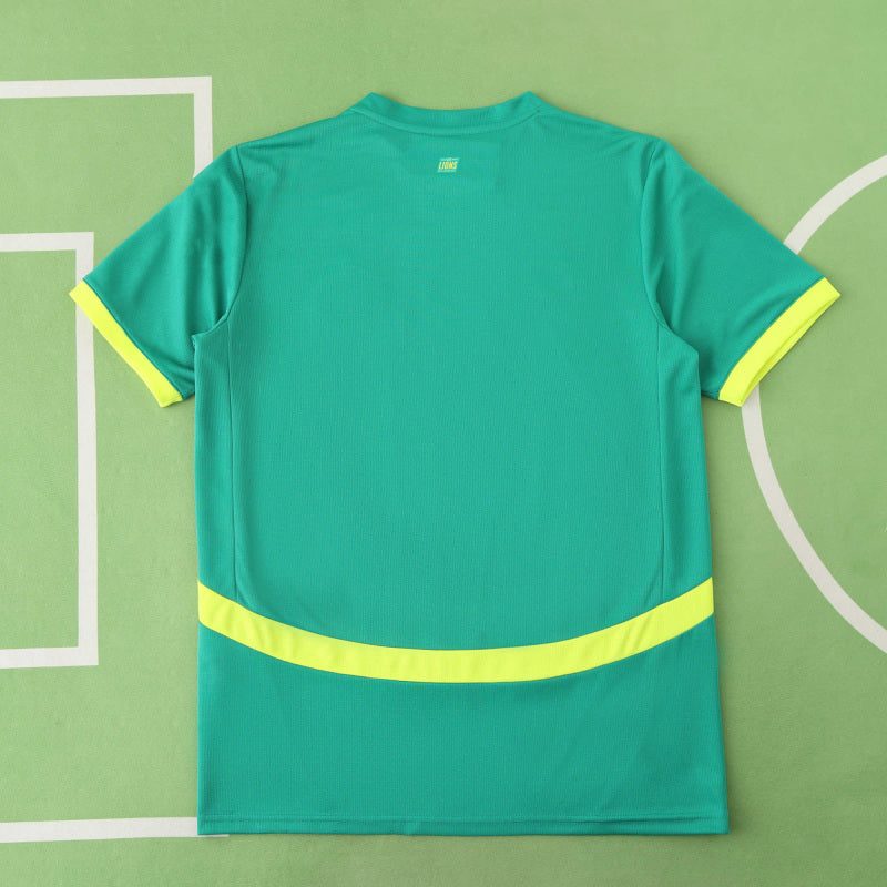 Senegal 2025/2026 Season Football Jersey Kit