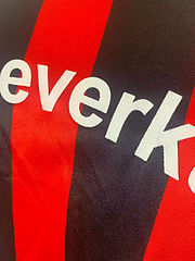 Bayer 04 Leverkusen 2001 - 2002 Heim Football Jersey Kit