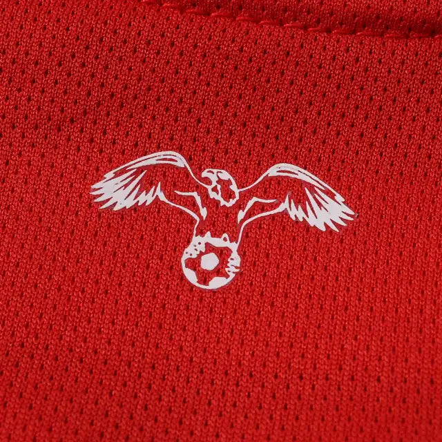 Jordan World Cup 2026 Football Jersey Shirt Trikot Maillot