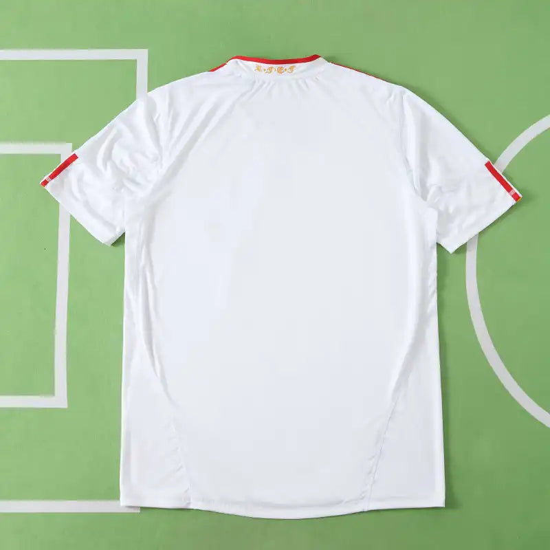 World Spain 2010 Cup Jersey Soccer Kit