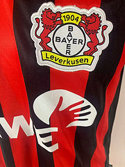 Michael Ballack Bayer 04 Leverkusen 2001 - 2002 Heim Football Jersey Kit