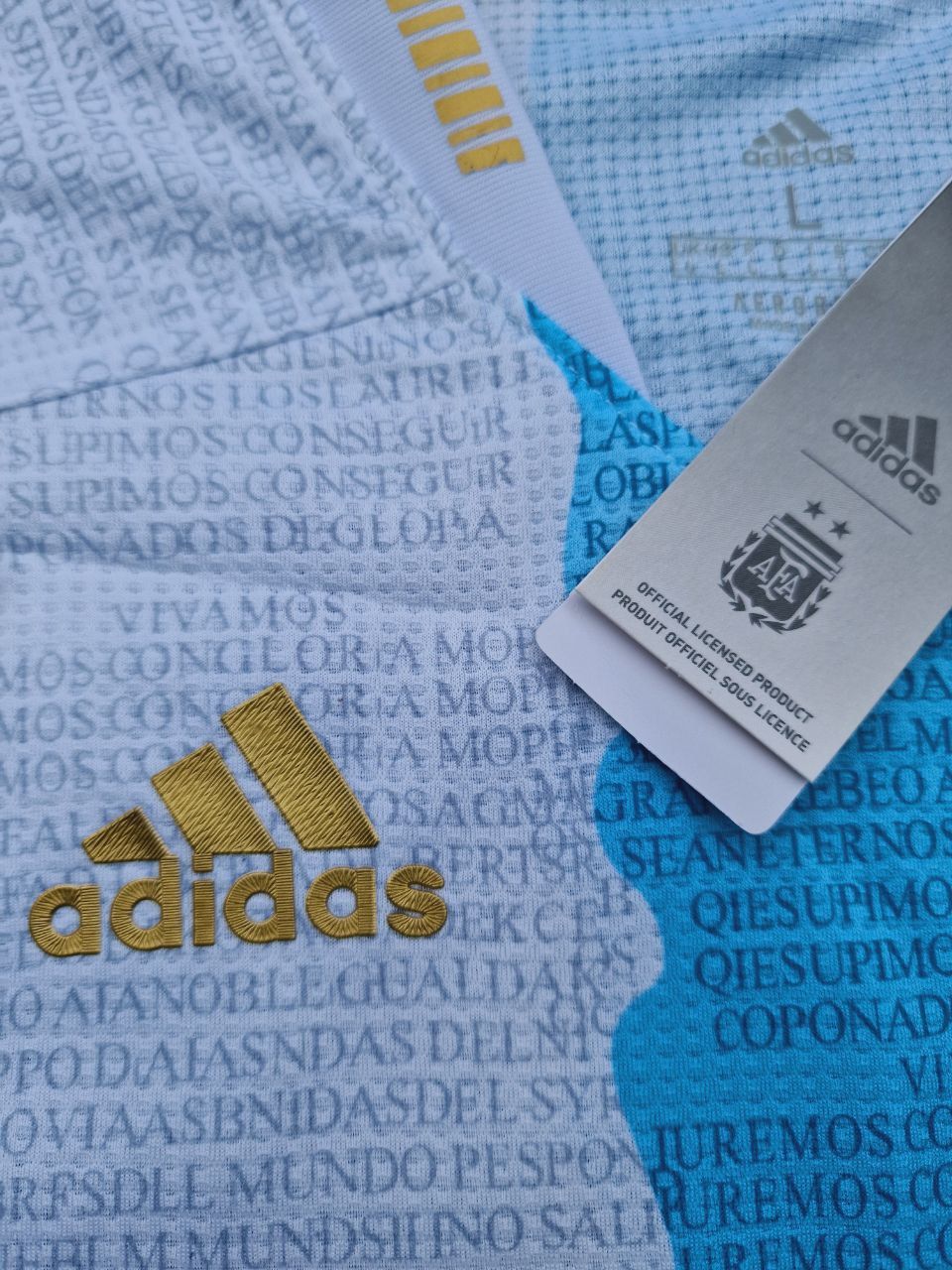 Diego Armando Maradona Argentina Commerative Anniversary Football Jersey Trikot Maillot