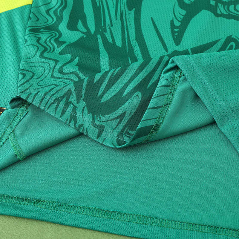 Senegal 2025/2026 Season Football Jersey Kit