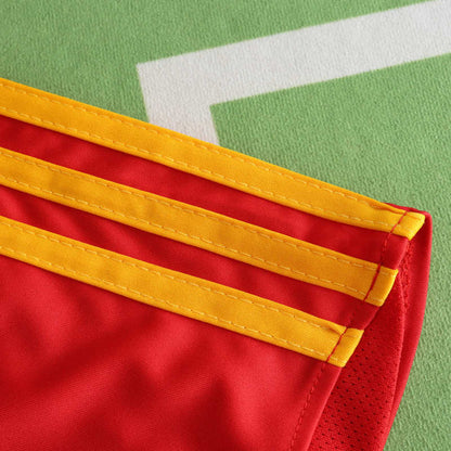 Spain EURO 2008 Retro Football Jersey Kit