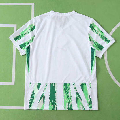 Nigeria 2025 African Cup 2025 Football Jersey Kit Triko Special Edition