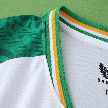 Troy Parrott Ireland Éire National Team Football Jersey Collection
