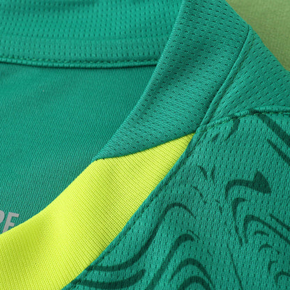 Senegal 2025/2026 Season Football Jersey Kit