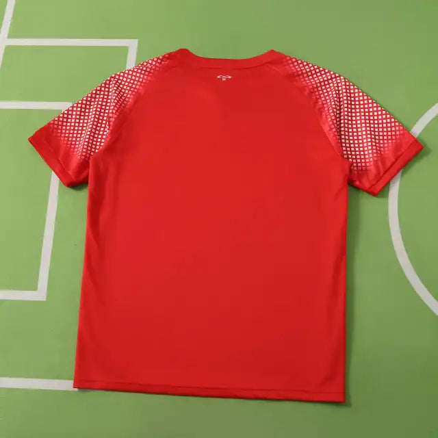 Jordan World Cup 2026 Football Jersey Shirt Trikot Maillot