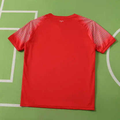 Jordan World Cup 2026 Football Jersey Shirt Trikot Maillot