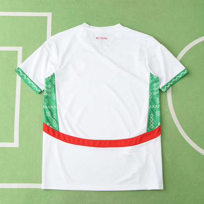 Morocco Away African Cup 2025 Season Football Jersey Kit