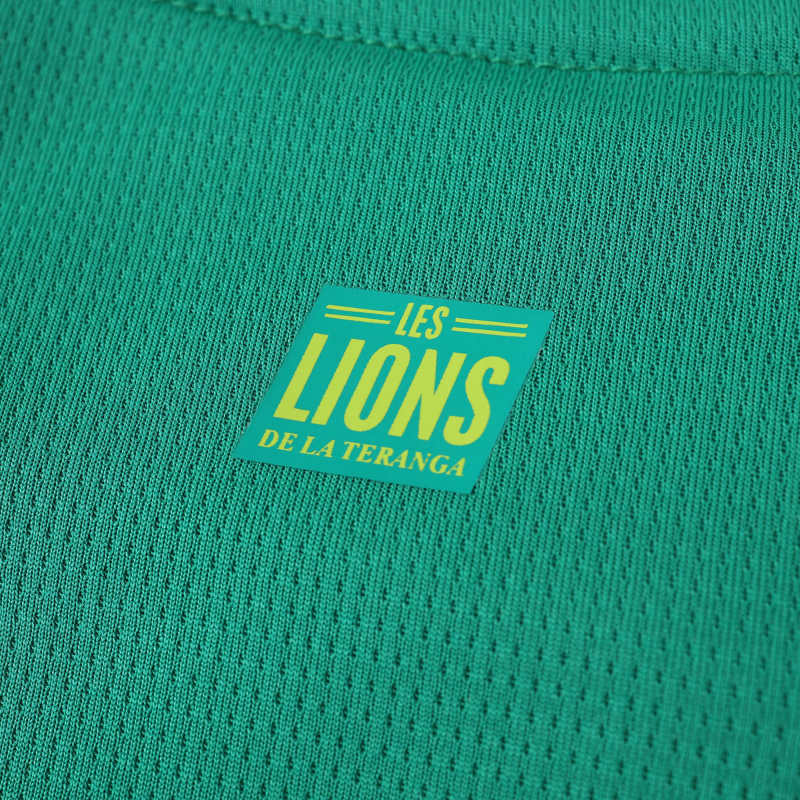 Senegal 2025/2026 Season Football Jersey Kit