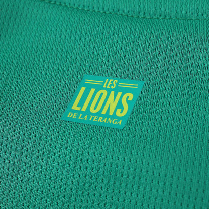 Senegal 2025/2026 Season Football Jersey Kit