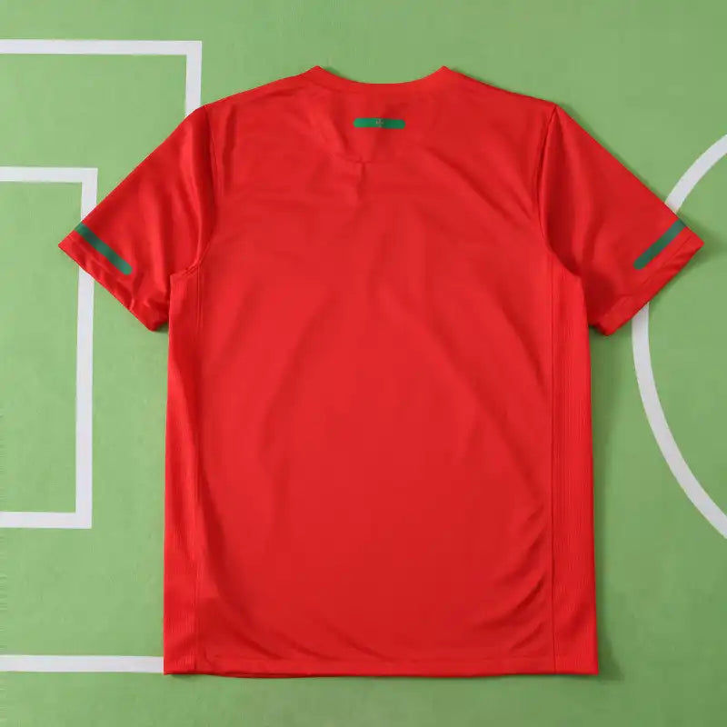 Portugal 2010 Season Retro Football Jersey Kit
