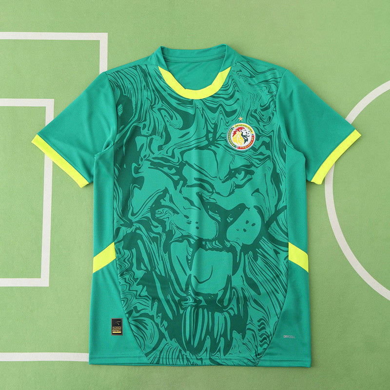 Senegal 2025/2026 Season Football Jersey Kit